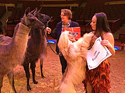 Circus Krone 2017: kuschlinge Lamas und Windhunde übergaben 12.000 Freikarten an die 3.Bürgermeisterin Christine Strobl